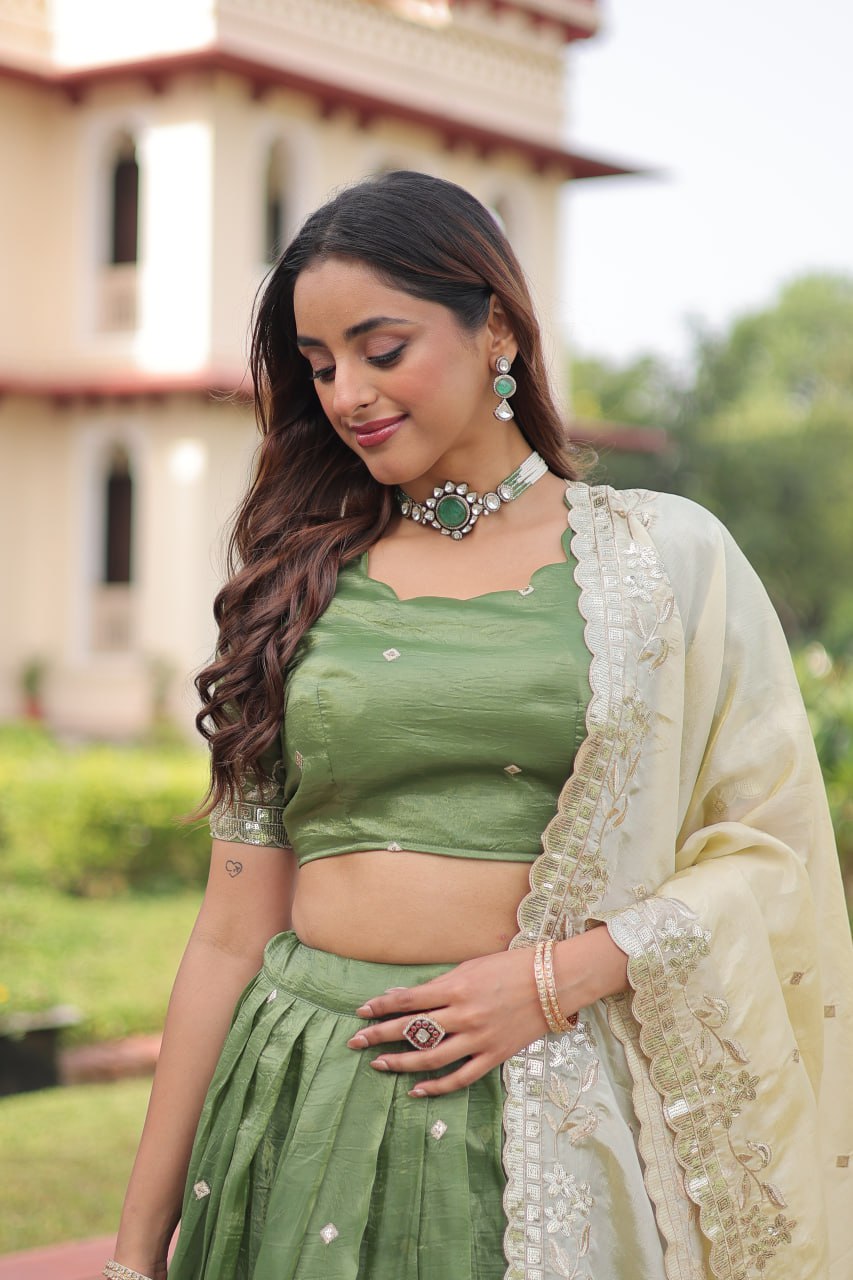 Eloriya Premium Quality Heavy Traditional Lehenga Choli | Eloriya India
